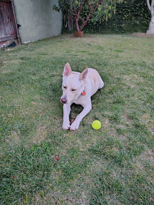 Photo 24
