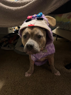 IMG_5357.jpeg